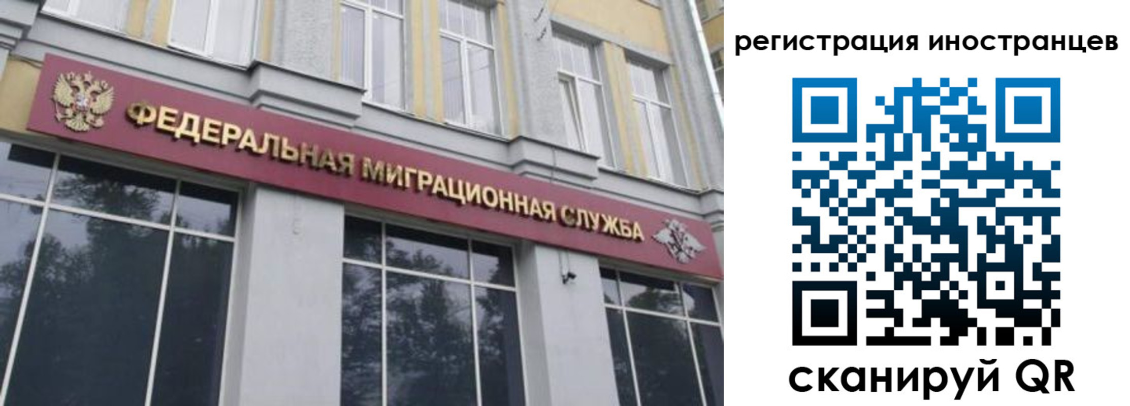 пропишу в квартире в Пионерском